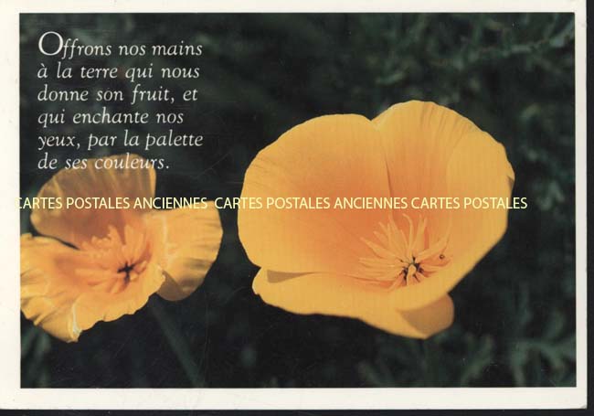 Cartes postales anciennes > CARTES POSTALES > carte postale ancienne > cartes-postales-ancienne.com  Trevoux