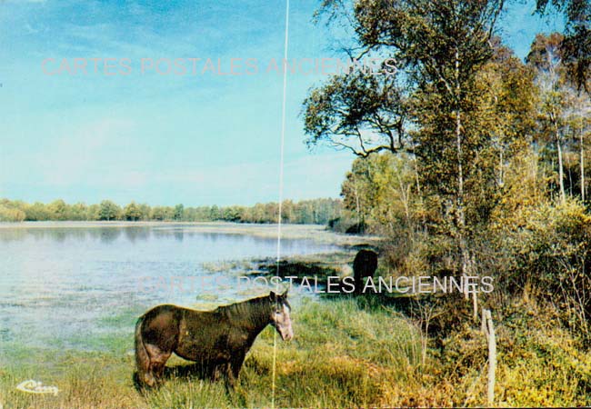 Cartes postales anciennes > CARTES POSTALES > carte postale ancienne > cartes-postales-ancienne.com Auvergne rhone alpes Villars Les Dombes