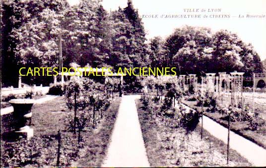 Cartes postales anciennes > CARTES POSTALES > carte postale ancienne > cartes-postales-ancienne.com Auvergne rhone alpes Ain Miserieux