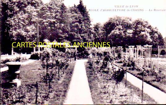 Cartes postales anciennes > CARTES POSTALES > carte postale ancienne > cartes-postales-ancienne.com Auvergne rhone alpes Miserieux