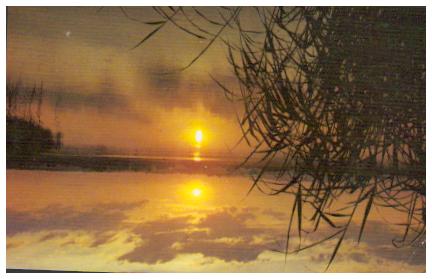Cartes postales anciennes > CARTES POSTALES > carte postale ancienne > cartes-postales-ancienne.com Ain  Villars Les Dombes