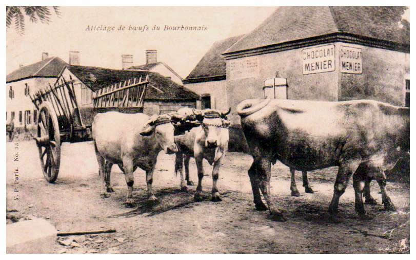 Cartes rares Allier Charroux