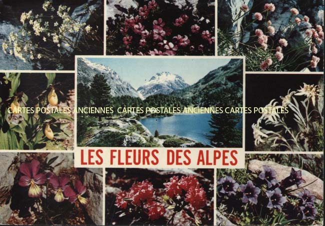 Cartes postales anciennes > CARTES POSTALES > carte postale ancienne > cartes-postales-ancienne.com Provence alpes cote d'azur Alpes de haute provence