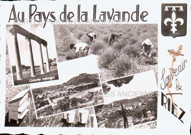 Cartes postales anciennes > CARTES POSTALES > carte postale ancienne > cartes-postales-ancienne.com Provence alpes cote d'azur Alpes de haute provence Riez