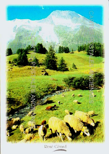 Cartes postales anciennes > CARTES POSTALES > carte postale ancienne > cartes-postales-ancienne.com Provence alpes cote d'azur Alpes de haute provence Seyne