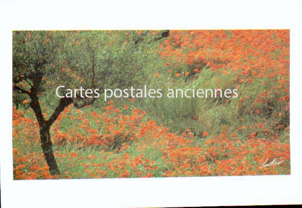 Cartes postales anciennes > CARTES POSTALES > carte postale ancienne > cartes-postales-ancienne.com  Moustiers Sainte Marie