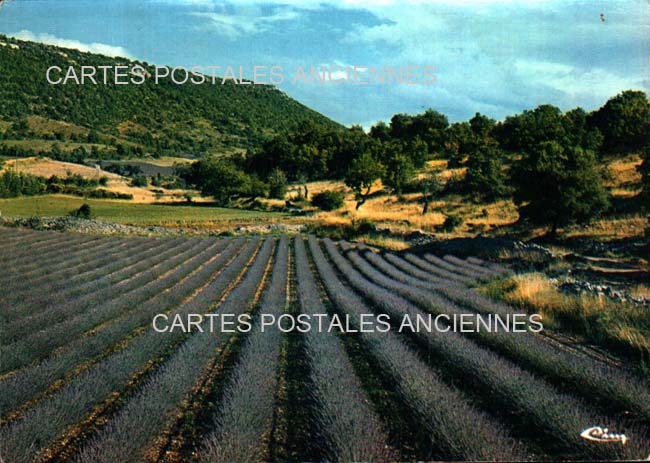 Cartes postales anciennes > CARTES POSTALES > carte postale ancienne > cartes-postales-ancienne.com Provence alpes cote d'azur Hautes alpes Aspres Sur Buech