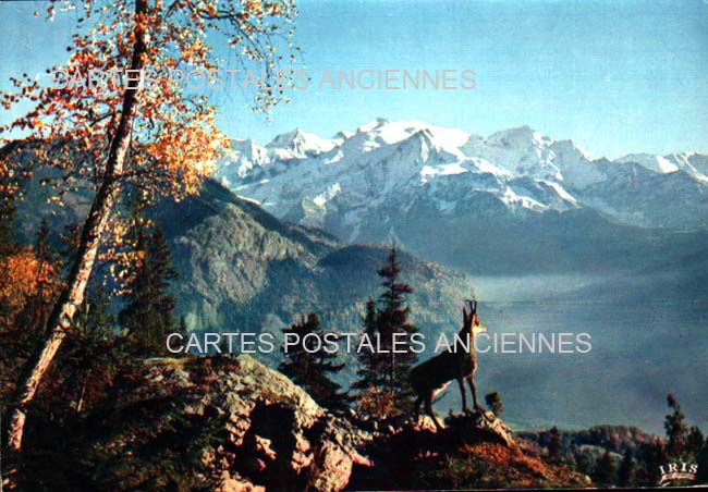 Cartes postales anciennes > CARTES POSTALES > carte postale ancienne > cartes-postales-ancienne.com Provence alpes cote d'azur Hautes alpes Arvieux