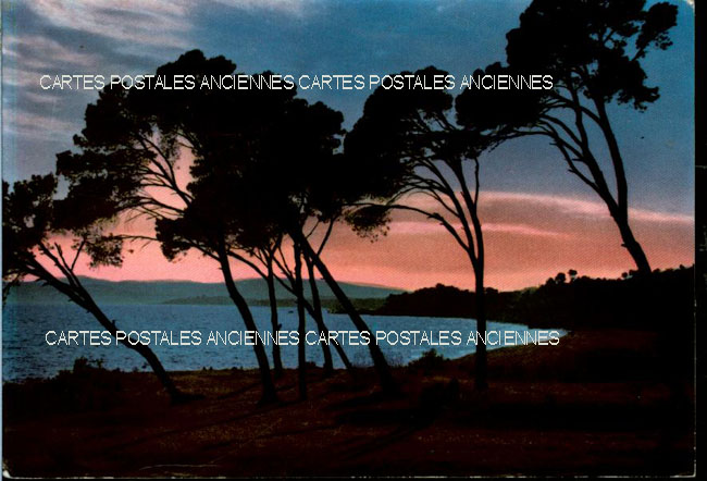 Cartes postales anciennes > CARTES POSTALES > carte postale ancienne > cartes-postales-ancienne.com Alpes maritimes