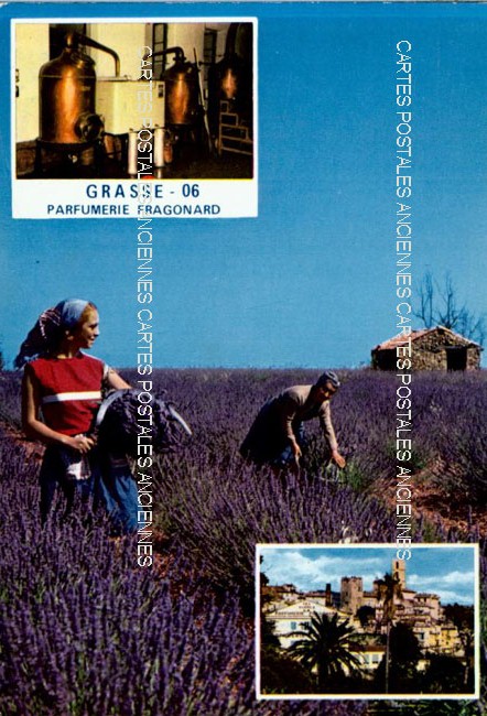 Cartes postales anciennes > CARTES POSTALES > carte postale ancienne > cartes-postales-ancienne.com Alpes maritimes  Grasse