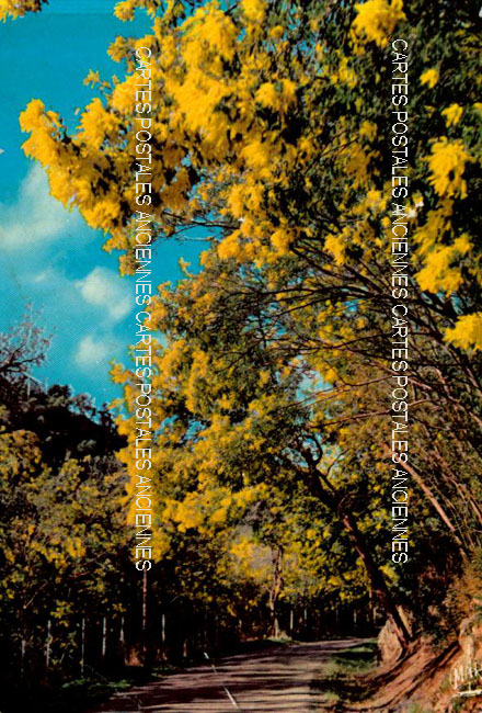 Cartes postales anciennes > CARTES POSTALES > carte postale ancienne > cartes-postales-ancienne.com Alpes maritimes  La Brigue