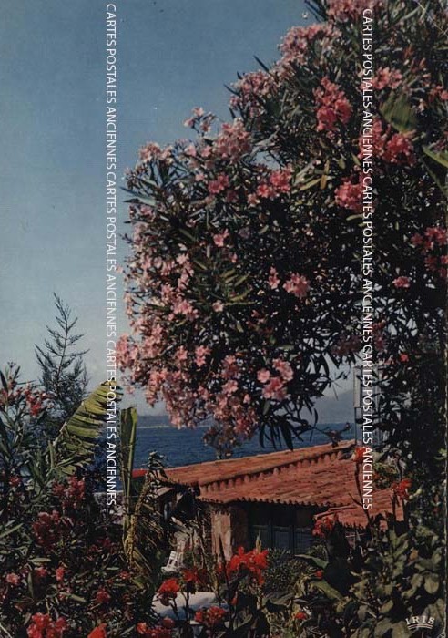 Cartes postales anciennes > CARTES POSTALES > carte postale ancienne > cartes-postales-ancienne.com Alpes maritimes