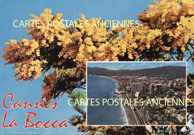 Cartes postales anciennes > CARTES POSTALES > carte postale ancienne > cartes-postales-ancienne.com Provence alpes cote d'azur Alpes maritimes Cannes La Bocca