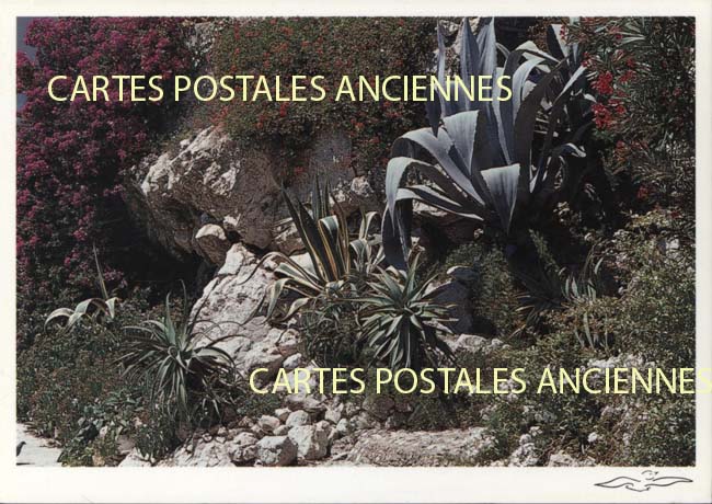 Cartes postales anciennes > CARTES POSTALES > carte postale ancienne > cartes-postales-ancienne.com Alpes maritimes  Nice