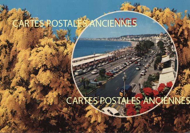 Cartes postales anciennes > CARTES POSTALES > carte postale ancienne > cartes-postales-ancienne.com Alpes maritimes  Nice