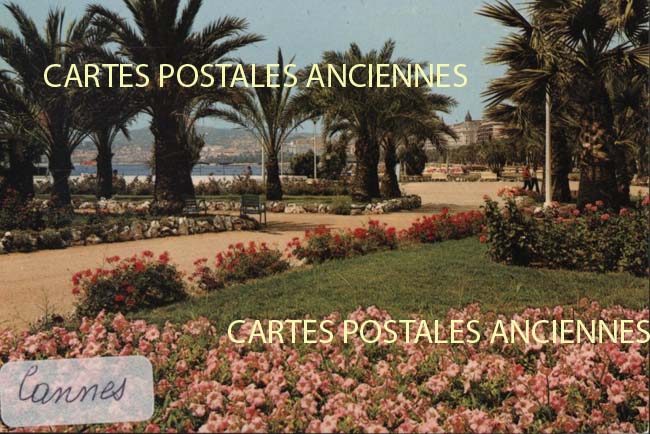 Cartes postales anciennes > CARTES POSTALES > carte postale ancienne > cartes-postales-ancienne.com Alpes maritimes  Cannes