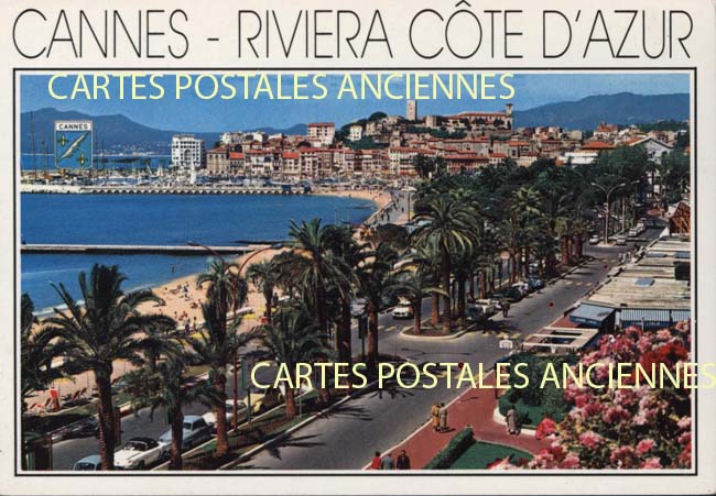 Cartes postales anciennes > CARTES POSTALES > carte postale ancienne > cartes-postales-ancienne.com Alpes maritimes  Cannes