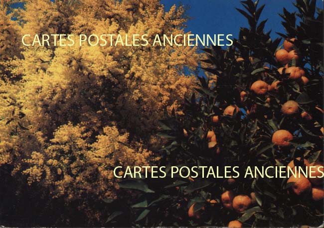 Cartes postales anciennes > CARTES POSTALES > carte postale ancienne > cartes-postales-ancienne.com Alpes maritimes  Cagnes Sur Mer