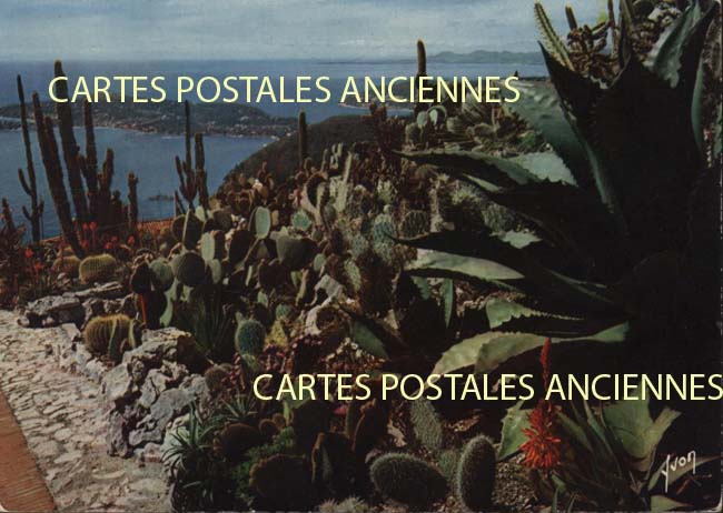 Cartes postales anciennes > CARTES POSTALES > carte postale ancienne > cartes-postales-ancienne.com Alpes maritimes  Eze