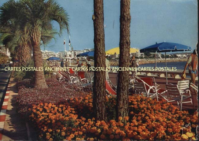 Cartes postales anciennes > CARTES POSTALES > carte postale ancienne > cartes-postales-ancienne.com  Cannes