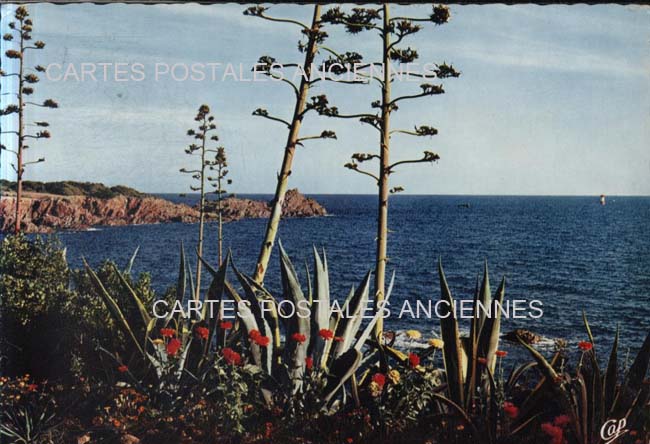 Cartes postales anciennes > CARTES POSTALES > carte postale ancienne > cartes-postales-ancienne.com Alpes maritimes  Nice