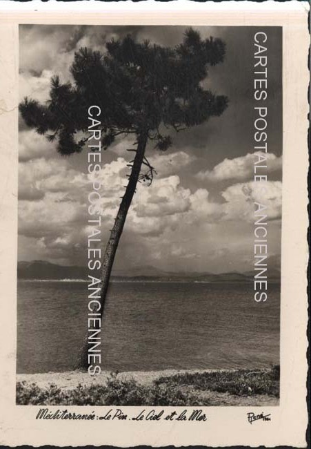 Cartes postales anciennes > CARTES POSTALES > carte postale ancienne > cartes-postales-ancienne.com Provence alpes cote d'azur Var Giens