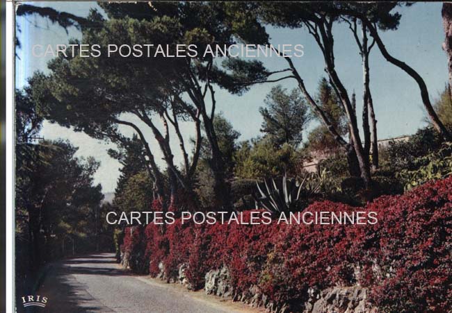 Cartes postales anciennes > CARTES POSTALES > carte postale ancienne > cartes-postales-ancienne.com Provence alpes cote d'azur Alpes maritimes Saint Jean Cap Ferrat