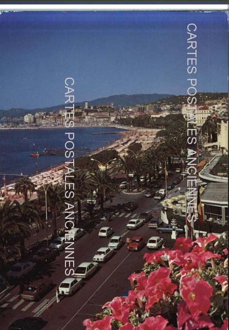 Cartes postales anciennes > CARTES POSTALES > carte postale ancienne > cartes-postales-ancienne.com Alpes maritimes  Cannes