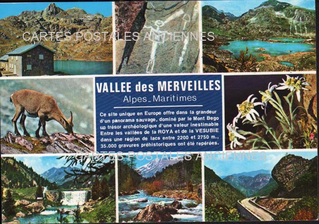 Cartes postales anciennes > CARTES POSTALES > carte postale ancienne > cartes-postales-ancienne.com Provence alpes cote d'azur Alpes maritimes La Brigue