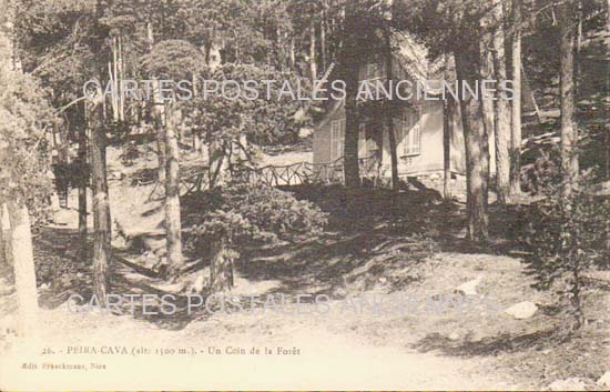 Cartes postales anciennes > CARTES POSTALES > carte postale ancienne > cartes-postales-ancienne.com  Peira Cava