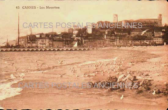 Cartes postales anciennes > CARTES POSTALES > carte postale ancienne > cartes-postales-ancienne.com Alpes maritimes  Cannes