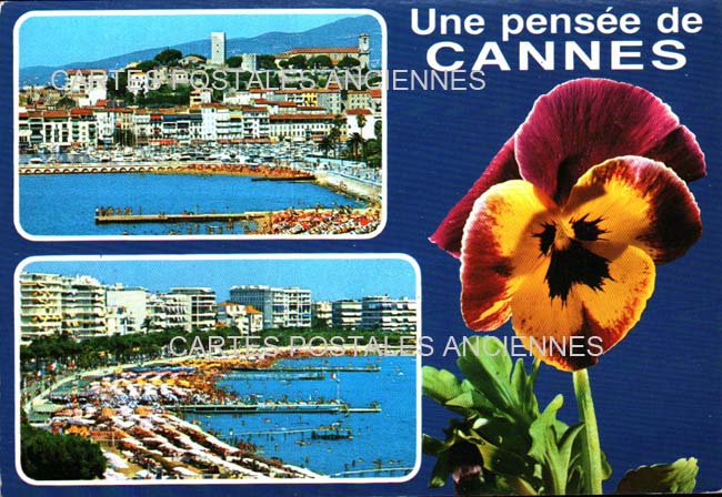 Cartes postales anciennes > CARTES POSTALES > carte postale ancienne > cartes-postales-ancienne.com Alpes maritimes  Cannes