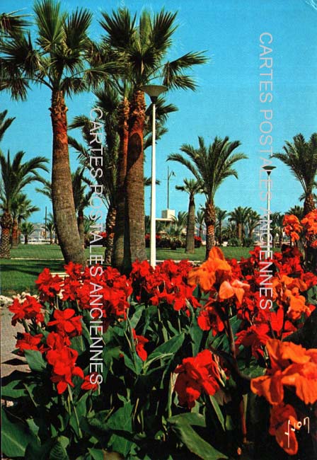 Cartes postales anciennes > CARTES POSTALES > carte postale ancienne > cartes-postales-ancienne.com Alpes maritimes  Cannes