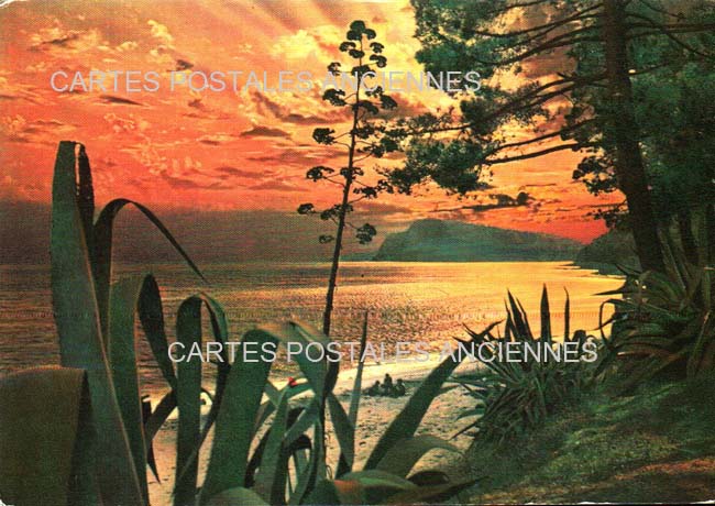Cartes postales anciennes > CARTES POSTALES > carte postale ancienne > cartes-postales-ancienne.com Alpes maritimes  Cannes