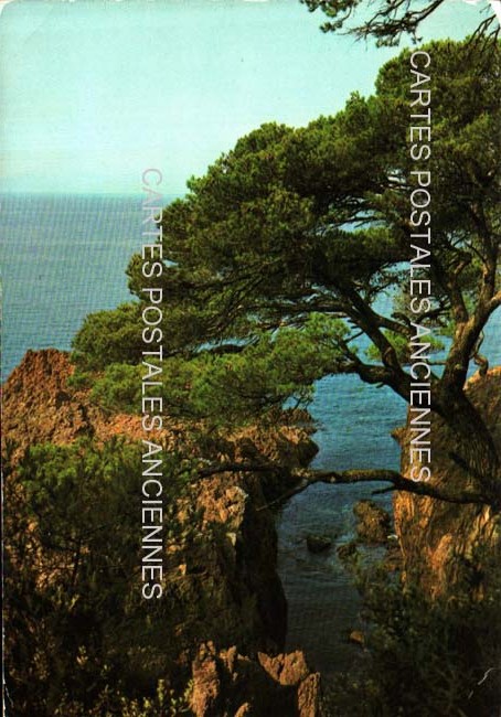 Cartes postales anciennes > CARTES POSTALES > carte postale ancienne > cartes-postales-ancienne.com Alpes maritimes  Mandelieu La Napoule