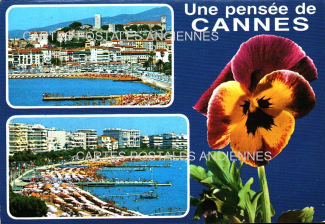 Cartes postales anciennes > CARTES POSTALES > carte postale ancienne > cartes-postales-ancienne.com Alpes maritimes  Cannes