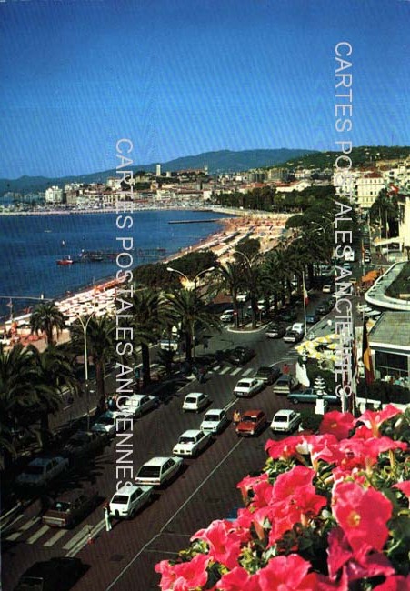 Cartes postales anciennes > CARTES POSTALES > carte postale ancienne > cartes-postales-ancienne.com Alpes maritimes  Cannes