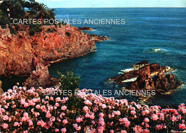 Cartes postales anciennes > CARTES POSTALES > carte postale ancienne > cartes-postales-ancienne.com  Les Adrets De L Esterel