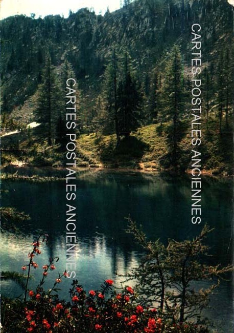 Cartes postales anciennes > CARTES POSTALES > carte postale ancienne > cartes-postales-ancienne.com Provence alpes cote d'azur Saint Martin Vesubie