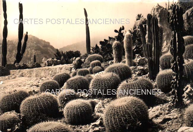Cartes postales anciennes > CARTES POSTALES > carte postale ancienne > cartes-postales-ancienne.com Provence alpes cote d'azur Eze