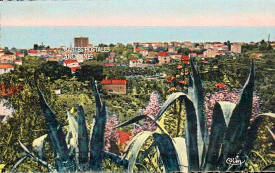 Cartes postales anciennes > CARTES POSTALES > carte postale ancienne > cartes-postales-ancienne.com Provence alpes cote d'azur Alpes maritimes Vallauris