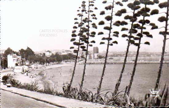 Cartes postales anciennes > CARTES POSTALES > carte postale ancienne > cartes-postales-ancienne.com Provence alpes cote d'azur Alpes maritimes Vallauris