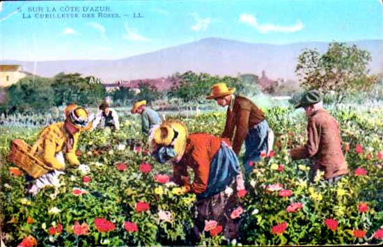 Cartes postales anciennes > CARTES POSTALES > carte postale ancienne > cartes-postales-ancienne.com Provence alpes cote d'azur Alpes maritimes Nice