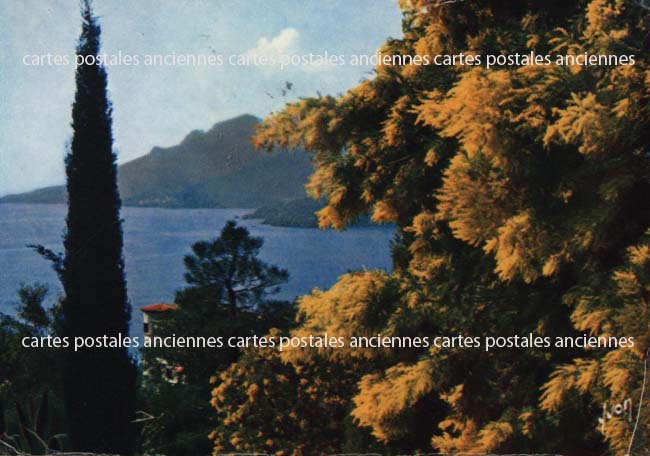 Cartes postales anciennes > CARTES POSTALES > carte postale ancienne > cartes-postales-ancienne.com Provence alpes cote d'azur Alpes maritimes Cannes