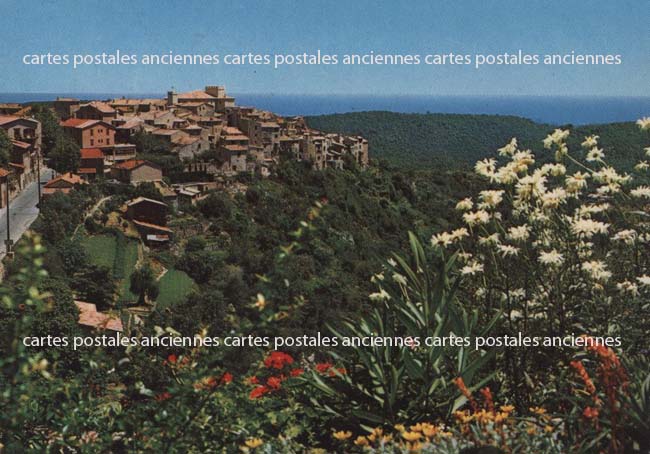 Cartes postales anciennes > CARTES POSTALES > carte postale ancienne > cartes-postales-ancienne.com Provence alpes cote d'azur Alpes maritimes Tourette Sur Loup