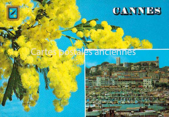 Cartes postales anciennes > CARTES POSTALES > carte postale ancienne > cartes-postales-ancienne.com Provence alpes cote d'azur Alpes maritimes Cannes