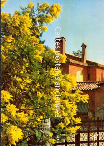 Cartes postales anciennes > CARTES POSTALES > carte postale ancienne > cartes-postales-ancienne.com Provence alpes cote d'azur Alpes maritimes Nice