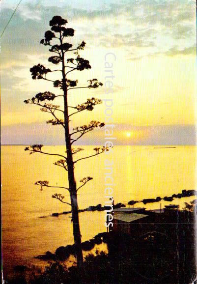 Cartes postales anciennes > CARTES POSTALES > carte postale ancienne > cartes-postales-ancienne.com Provence alpes cote d'azur Alpes maritimes Juan Les Pins