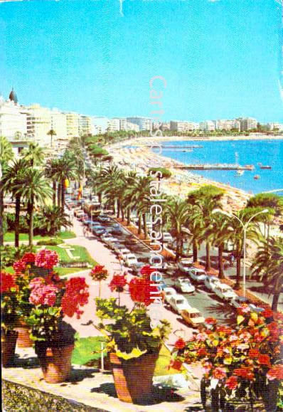 Cartes postales anciennes > CARTES POSTALES > carte postale ancienne > cartes-postales-ancienne.com Alpes maritimes  Cannes