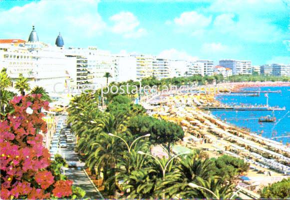 Cartes postales anciennes > CARTES POSTALES > carte postale ancienne > cartes-postales-ancienne.com Alpes maritimes  Cannes